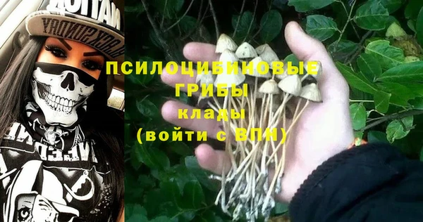 прущий лед Пестово